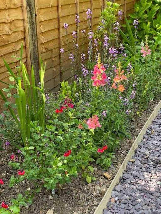 Holiday home Allt Lwyd - Peaceful & Tranquil Setting