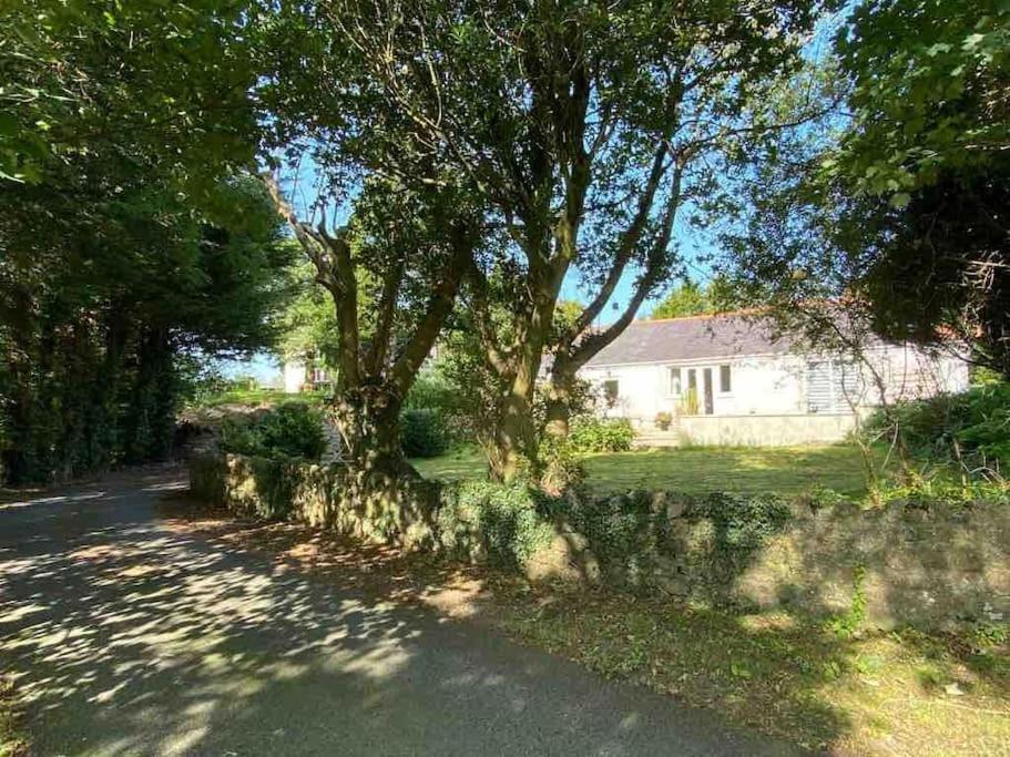 Holiday home Allt Lwyd - Peaceful & Tranquil Setting Bangor (Gwynedd)