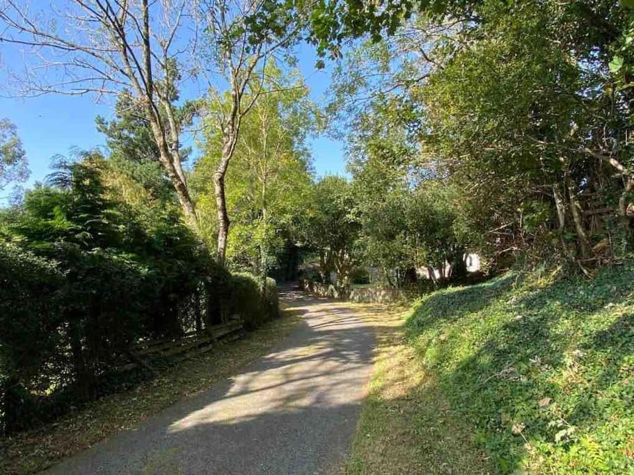 Allt Lwyd - Peaceful & Tranquil Setting Holiday home