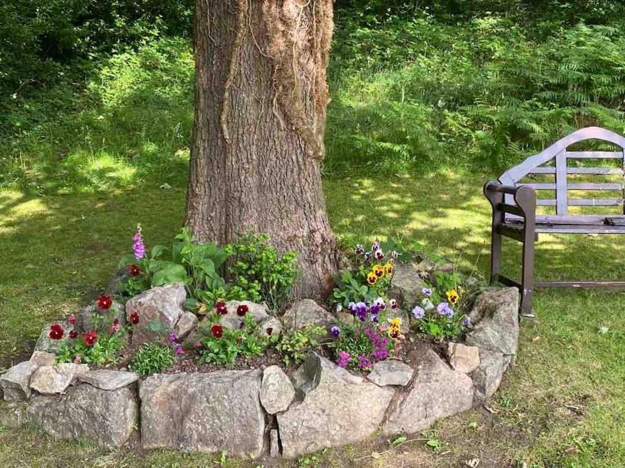 Allt Lwyd - Peaceful & Tranquil Setting Holiday home Bangor (Gwynedd)